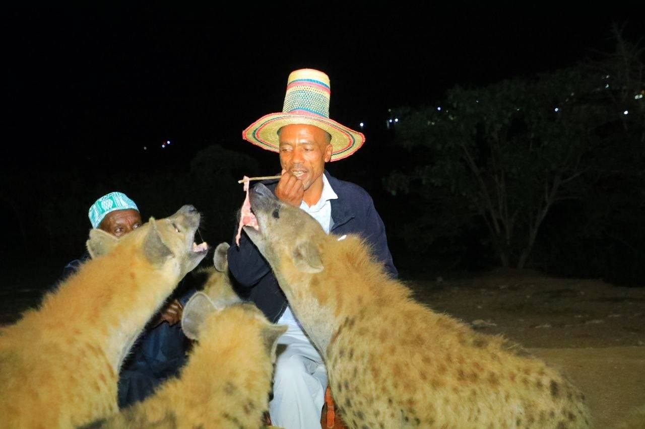 Cultural Sports Festival Harar